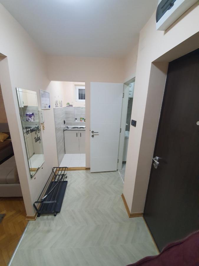 Apartman Dodolu Belgrad Zewnętrze zdjęcie
